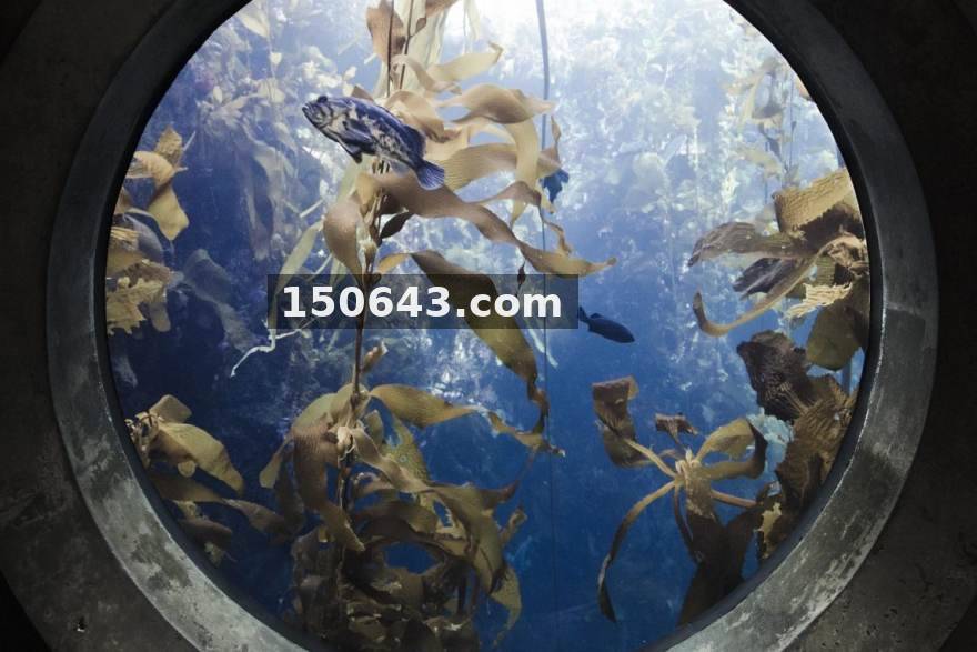 电竞牛 · 新赛季俱乐部阵容调整观察：青训上位与老将留队如何重塑竞争力